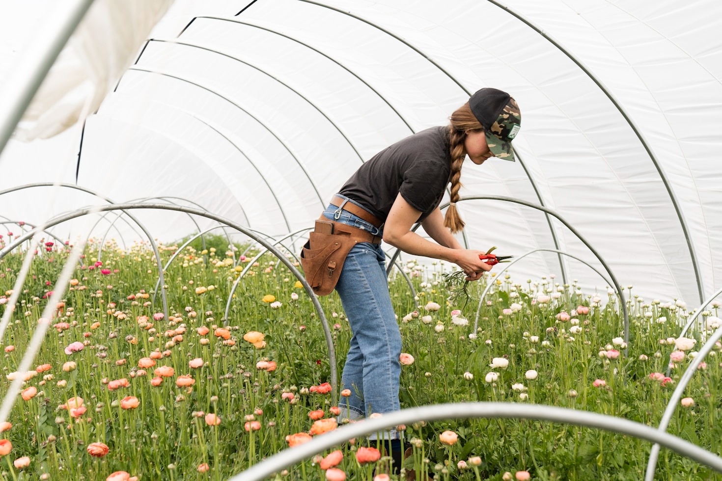 A importância da agricultura familiar para o desenvolvimento sustentável