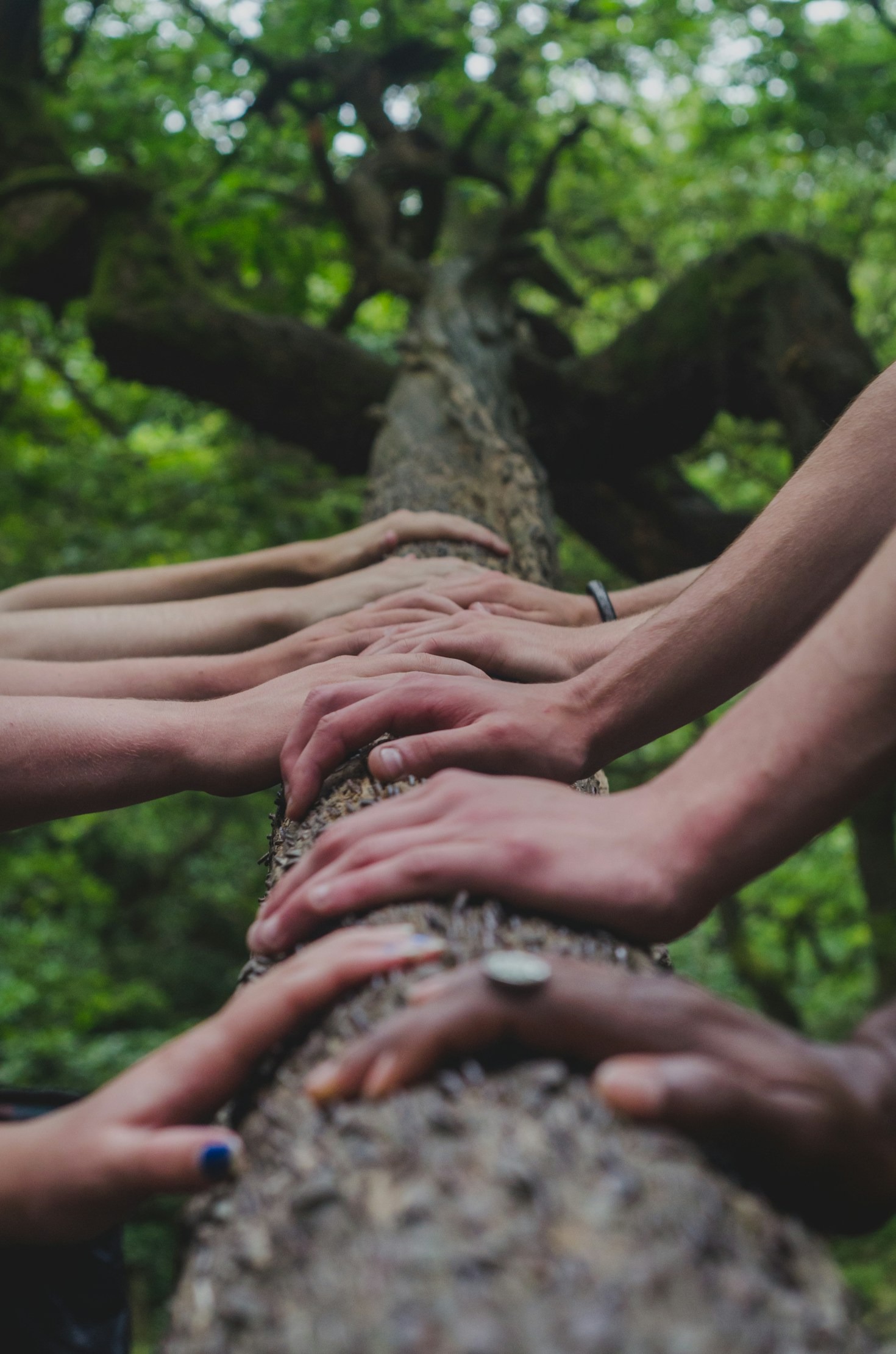 Voluntariado: sua chance de fazer a diferença